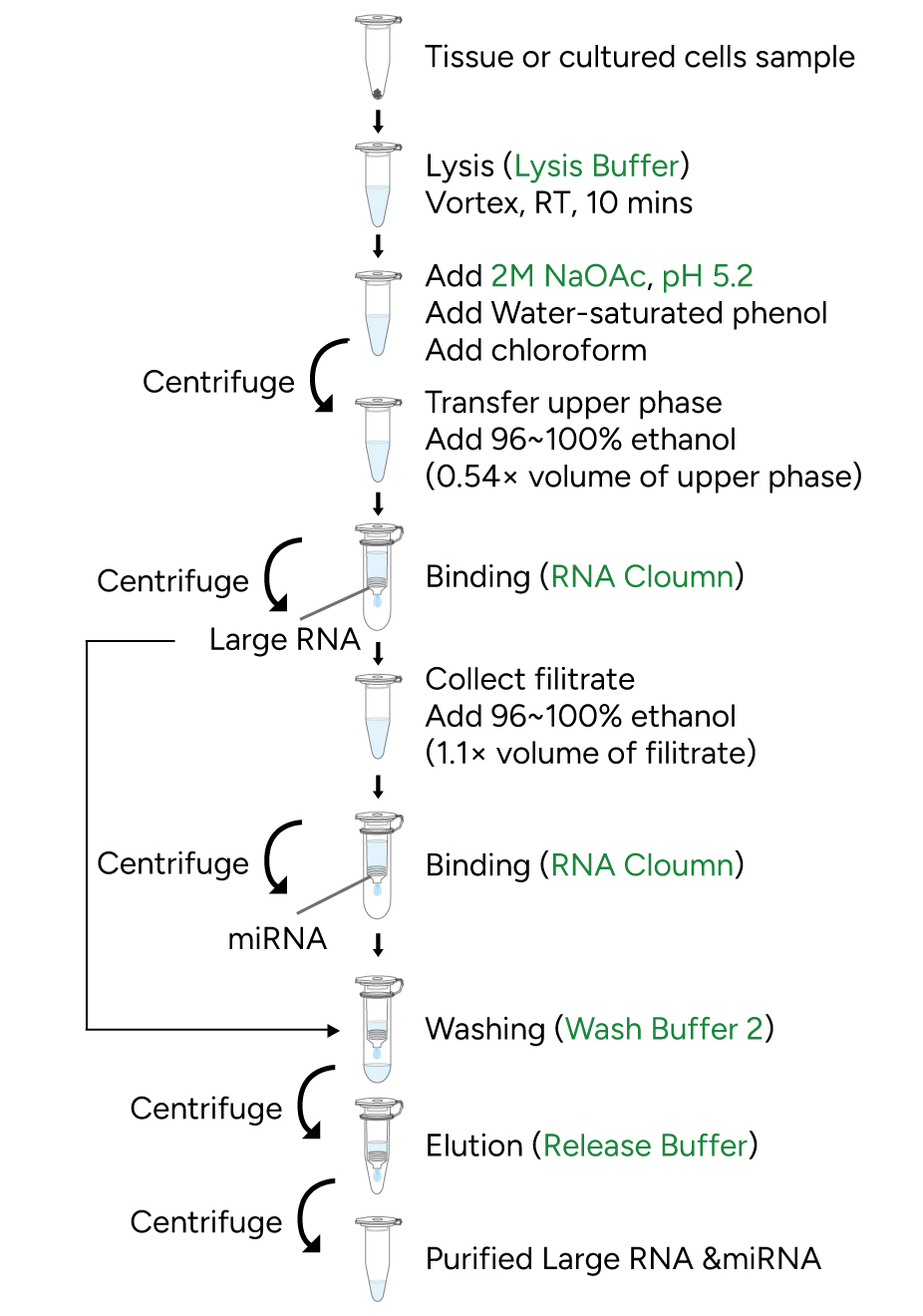 FavorPrep miRNA Isolation Kit Protocol