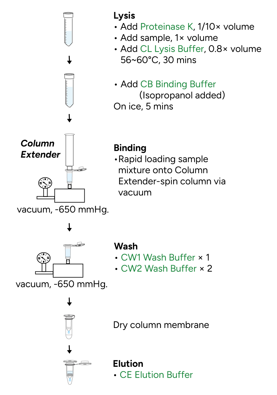 FavorPrep Circulating Nucleic Acid Isolation Kit Protocol