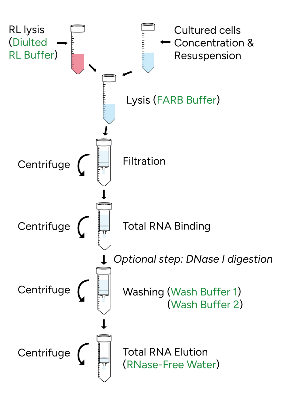 FavorPrep Blood/Cultured Cell Total RNA Maxi Kit Protocol