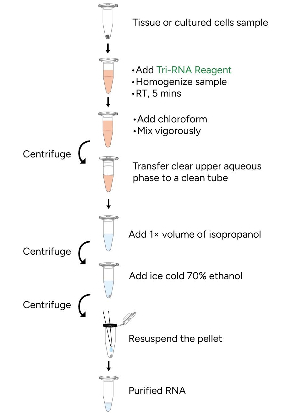 FavorPrep Tri-RNA Reagent Protocol