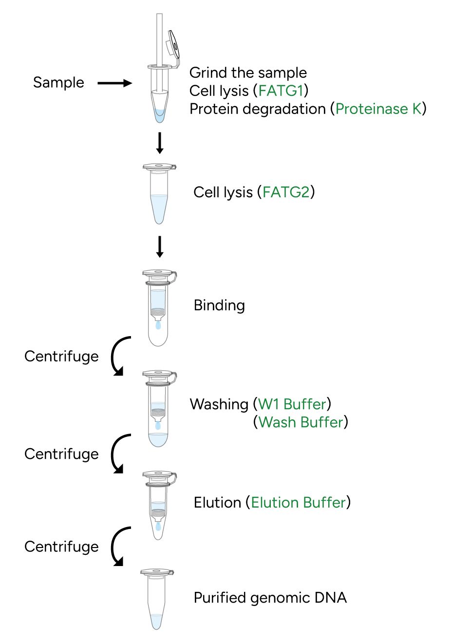 FavorPrep Tissue Genomic DNA Extraction Mini Kit Protocol