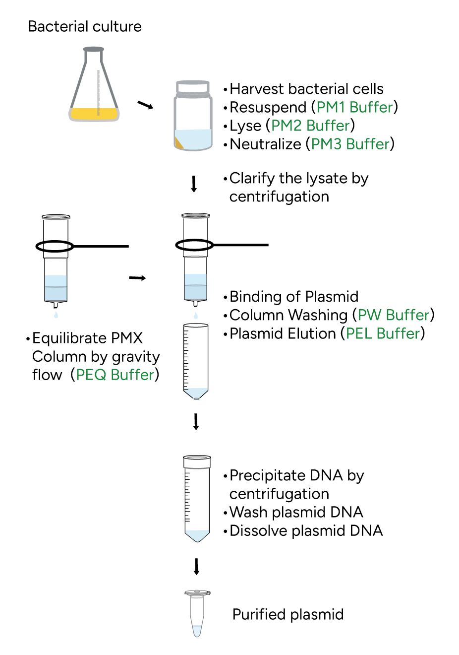 FavorPrep Plasmid DNA Extraction Maxi Plus Kit Protocol