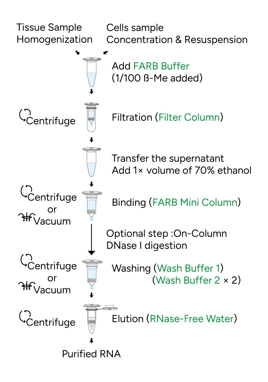 FavorPrep Tissue Total RNA Mini Kit Protocol