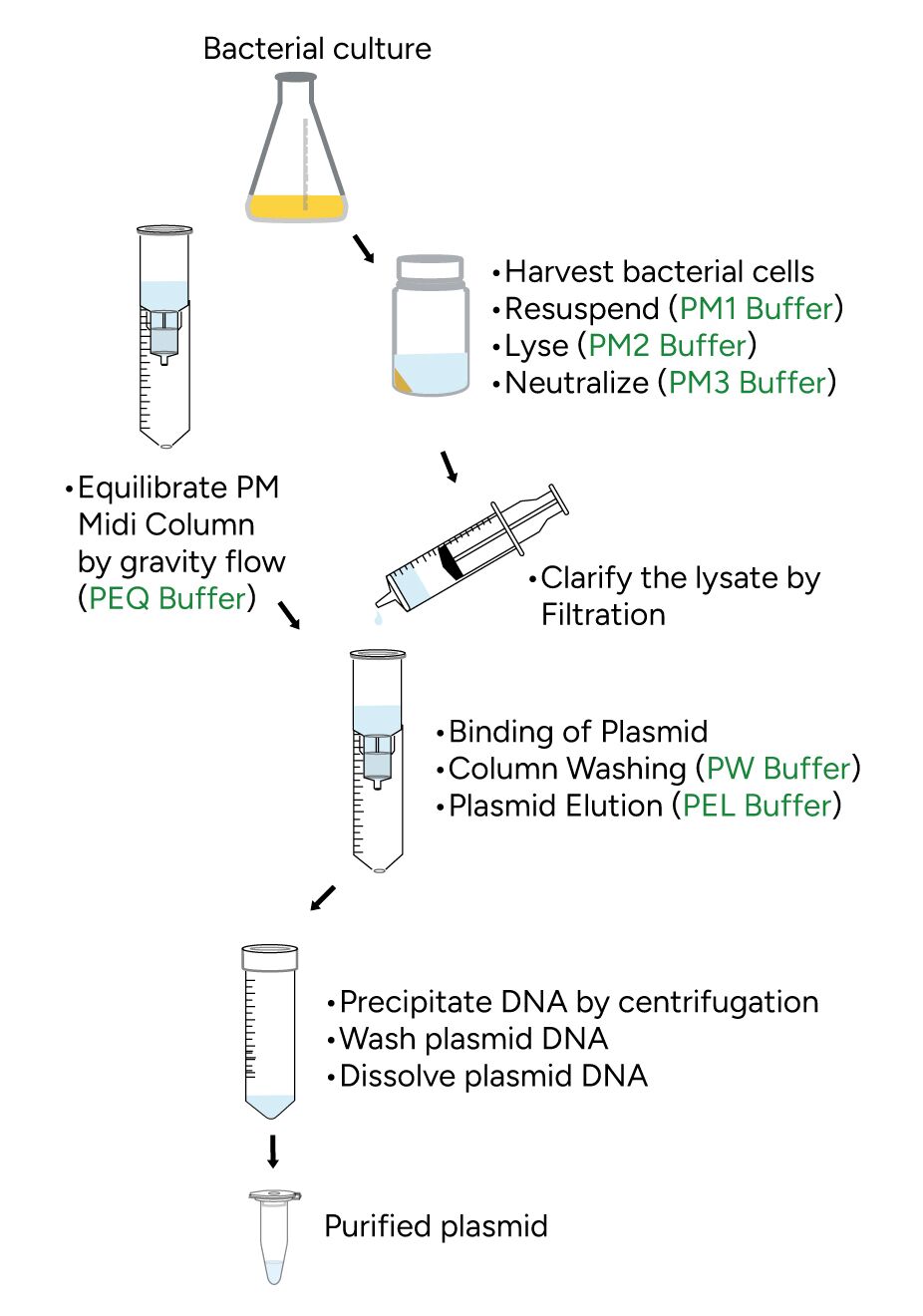 FavorFilter Plasmid Extraction Midi Kit Protocol