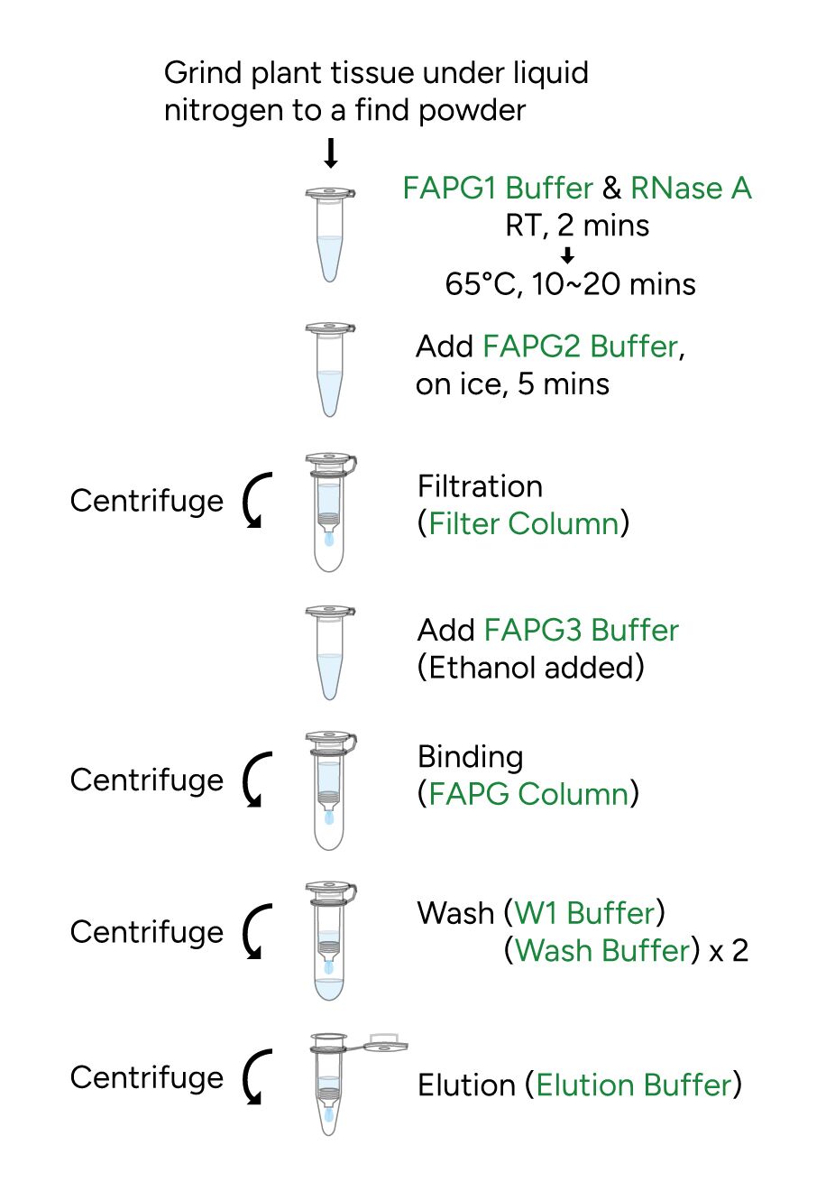 FavorPrep Plant Genomic DNA Extraction Mini Kit Protocol