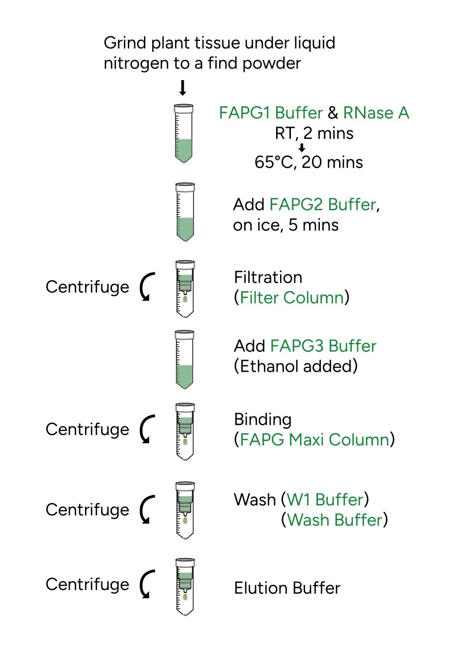 FavorPrep Plant Genomic DNA Extraction Maxi Kit Protocol