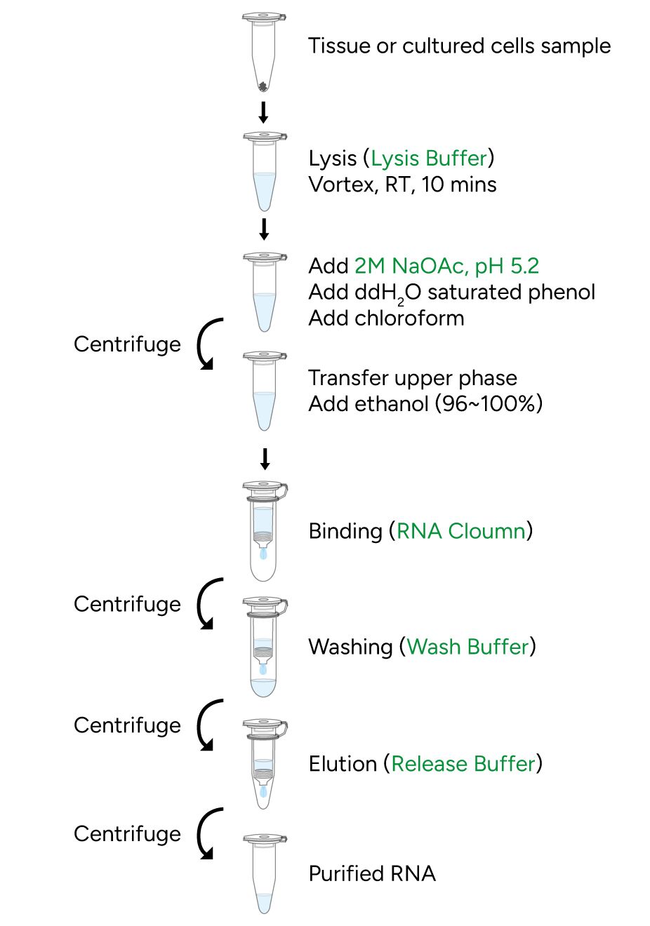 FavorPrep Total RNA Isolation Kit II Protocol
