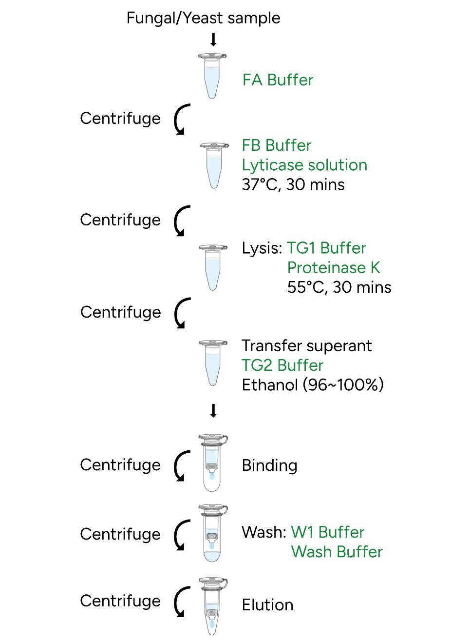 FavorPrep Fungi/Yeast Genomic DNA Extraction Mini Kit Protocol