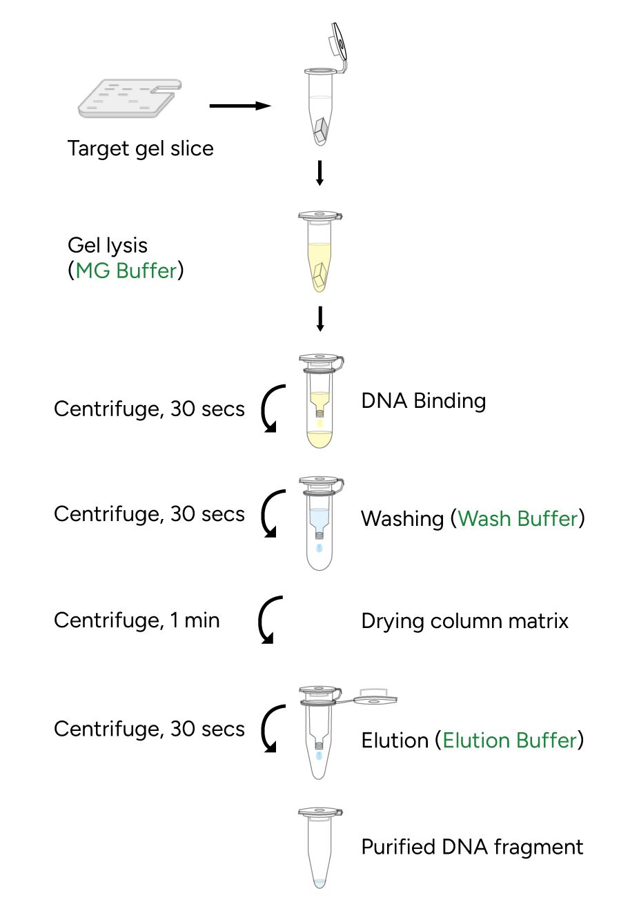 FavorPrep MicroElute GEL Extraction Kit Protocol