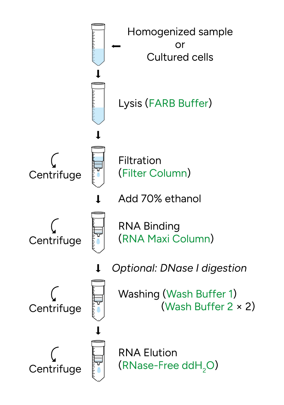 FavorPrep Tissue Total RNA Maxi Kit Protocol