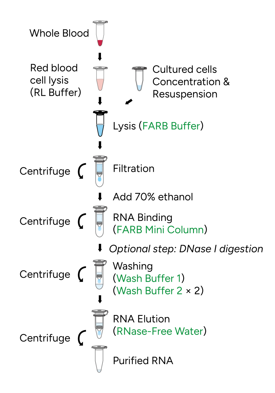 FavorPrep Blood/Cultured Cell Total RNA Mini Kit Components