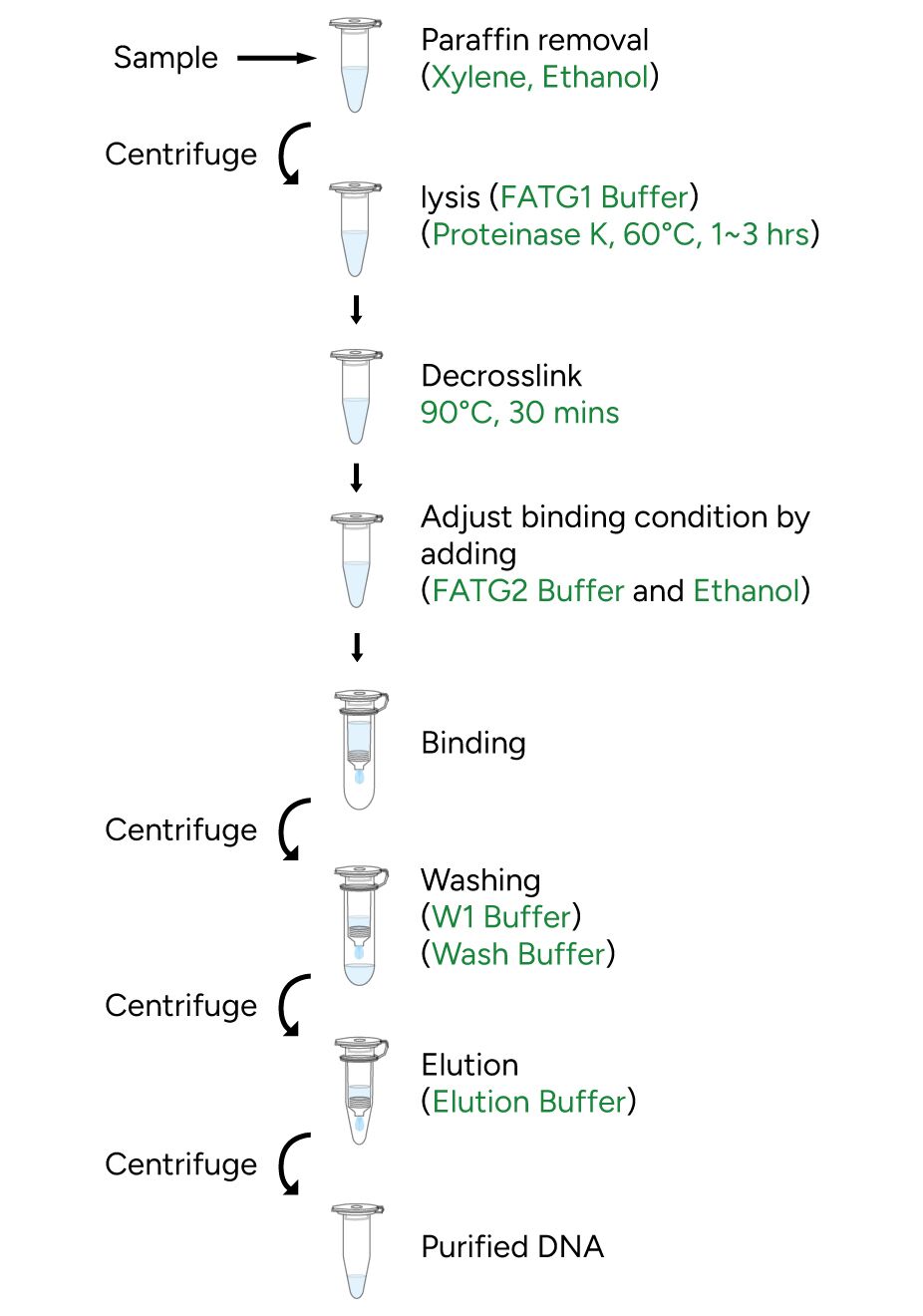 FavorPrep FFPE Tissue DNA Extraction Kit Protocol