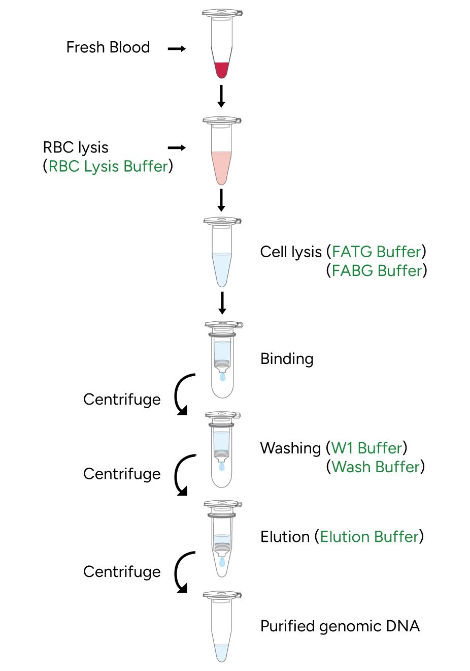 FavorPrep Blood/Cultured Cell Genomic DNA Extraction Mini Kit Protocol