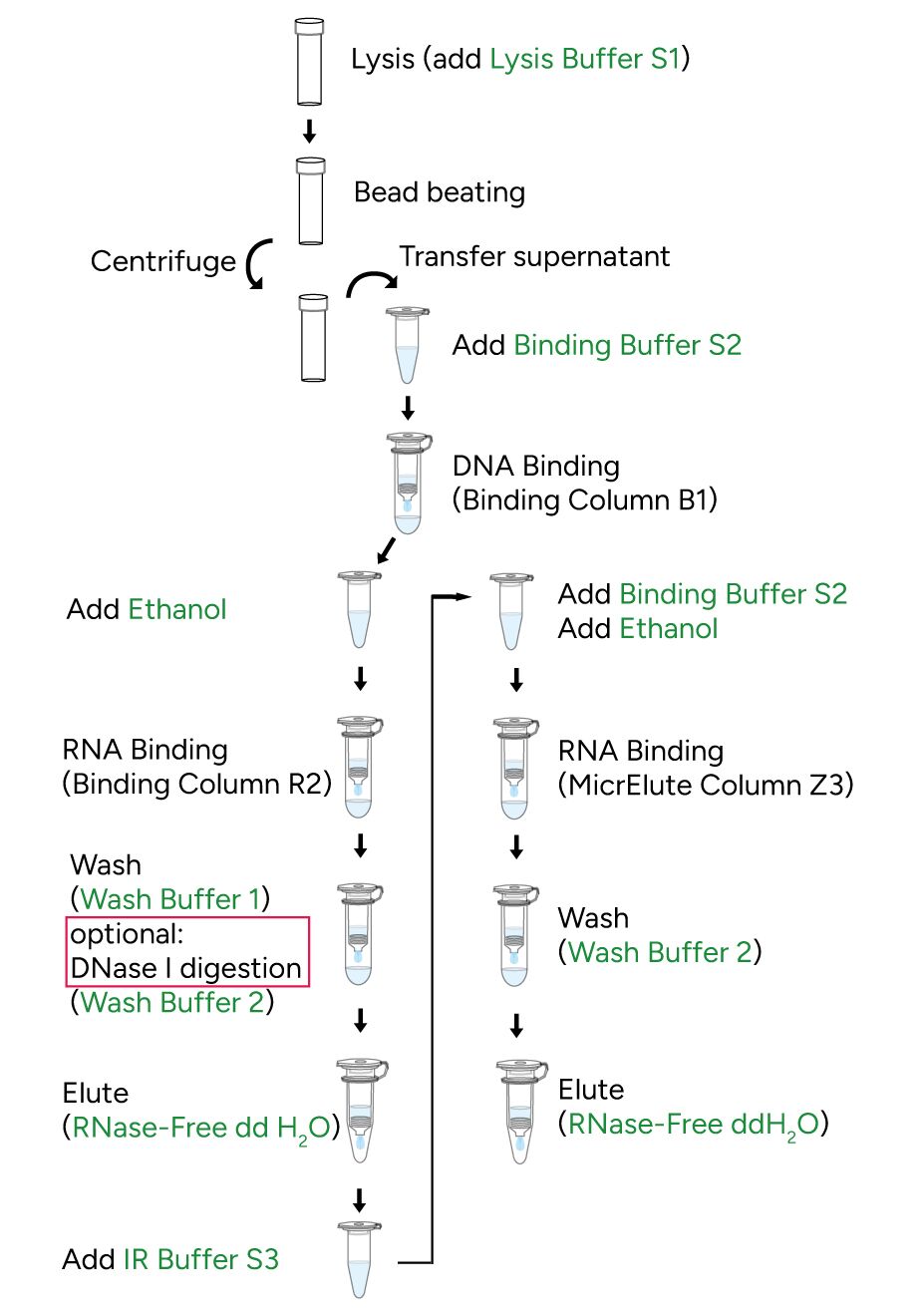 FavorPrep Soil/Stool RNA Extraction Kit Protocol