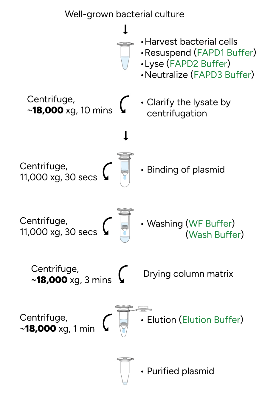 FavorPrep Plasmid DNA Extraction Mini Kit Protocol