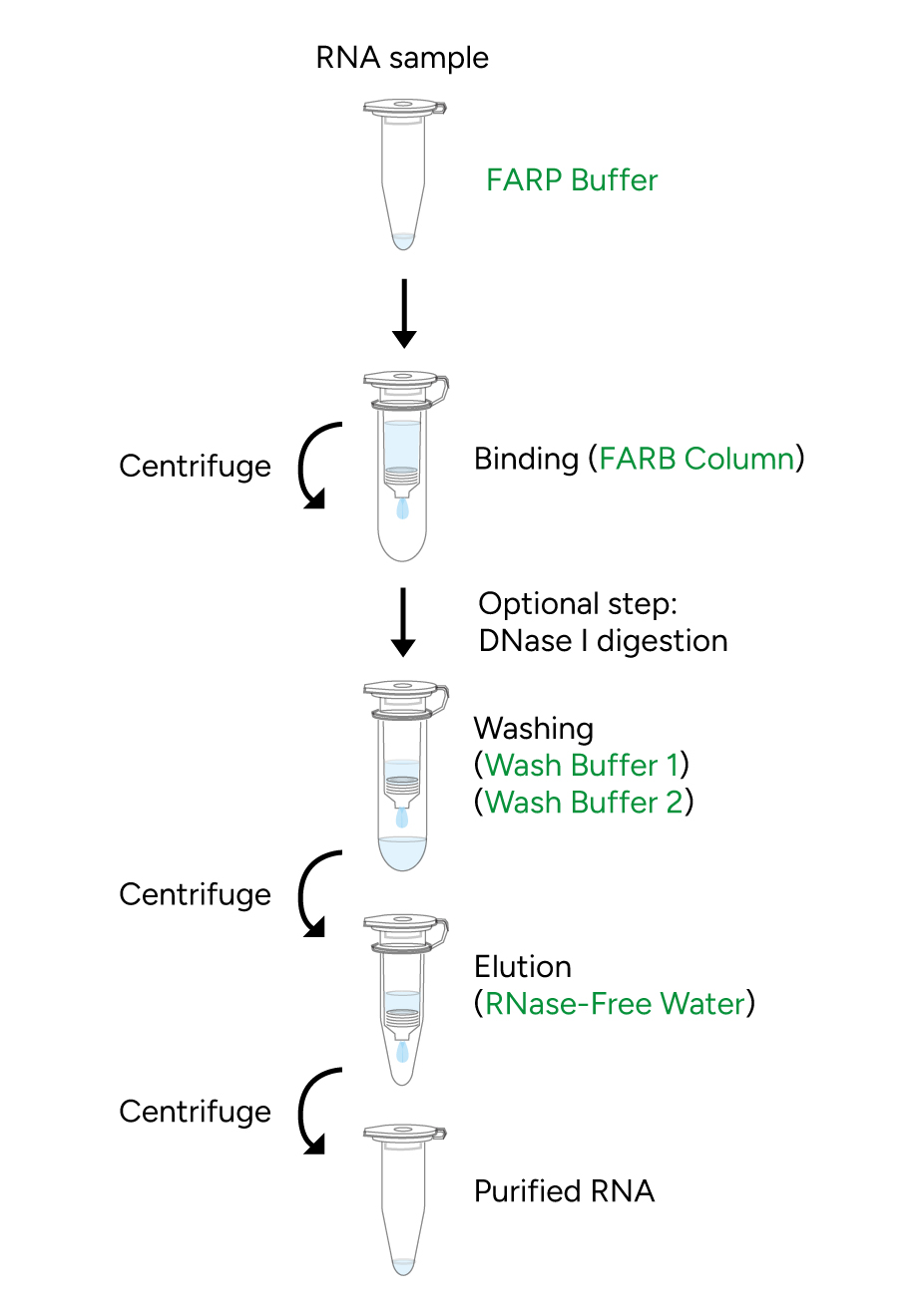 FavorPrep After Tri-Reagent RNA Clean-Up Kit Protocol