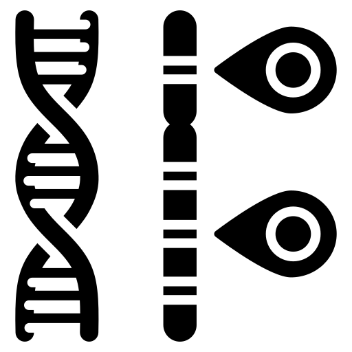 allele.png