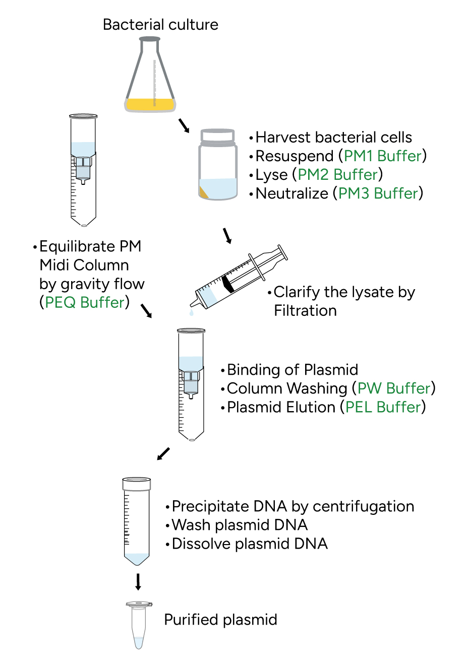 FavorPrep Plasmid DNA Extraction Midi Kit Protocol