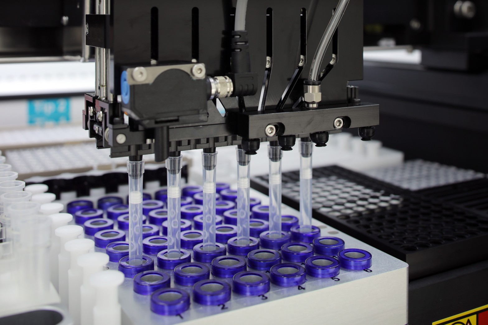 Molecular Diagnostics. Complete Solutions.