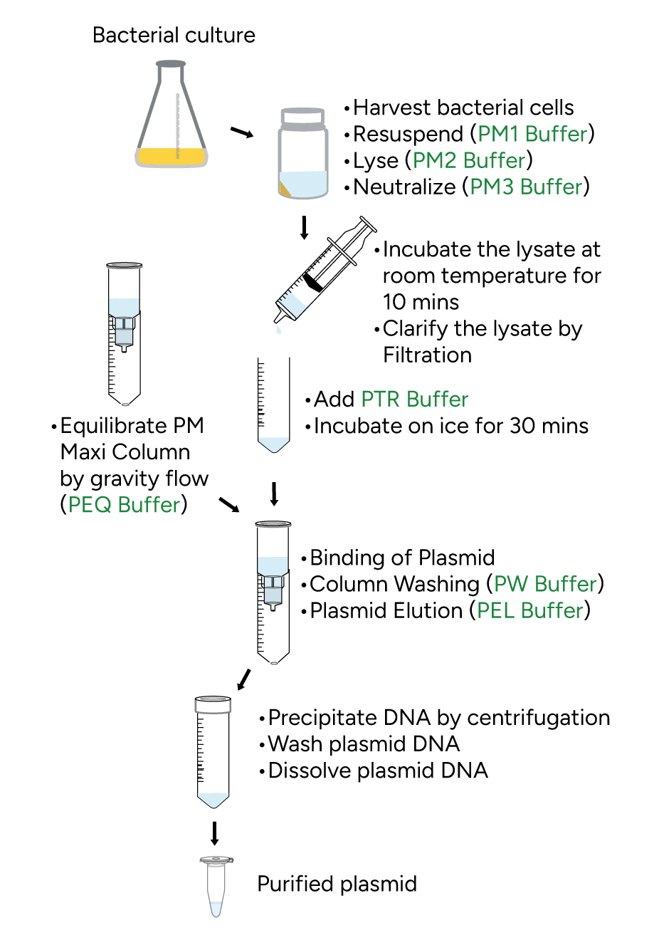 FavorFilter Endotoxin Free Plasmid Extraction Kit Protocol
