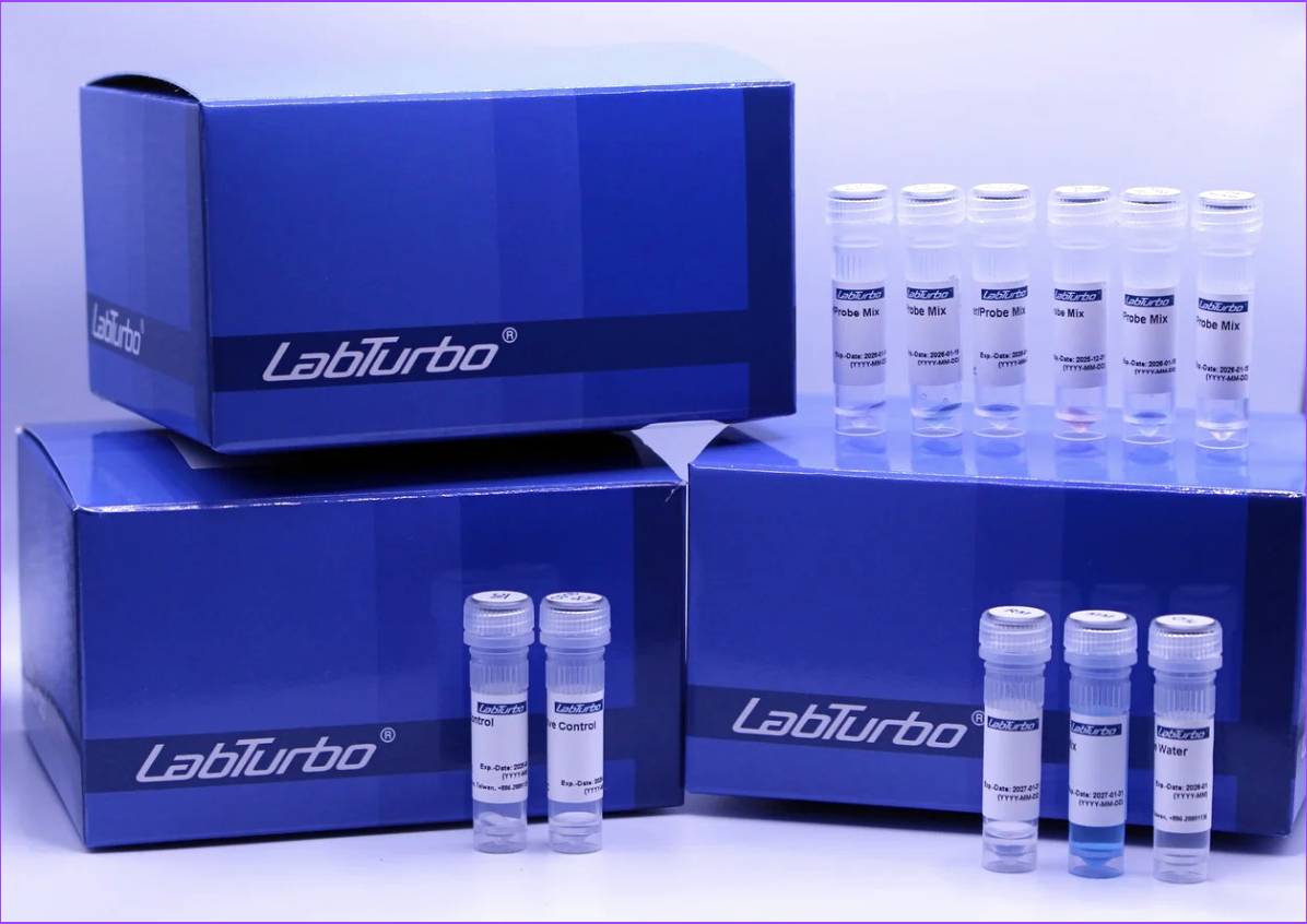 EGFR Mutation PCR Detection Kit