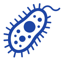 protozoa(1).png