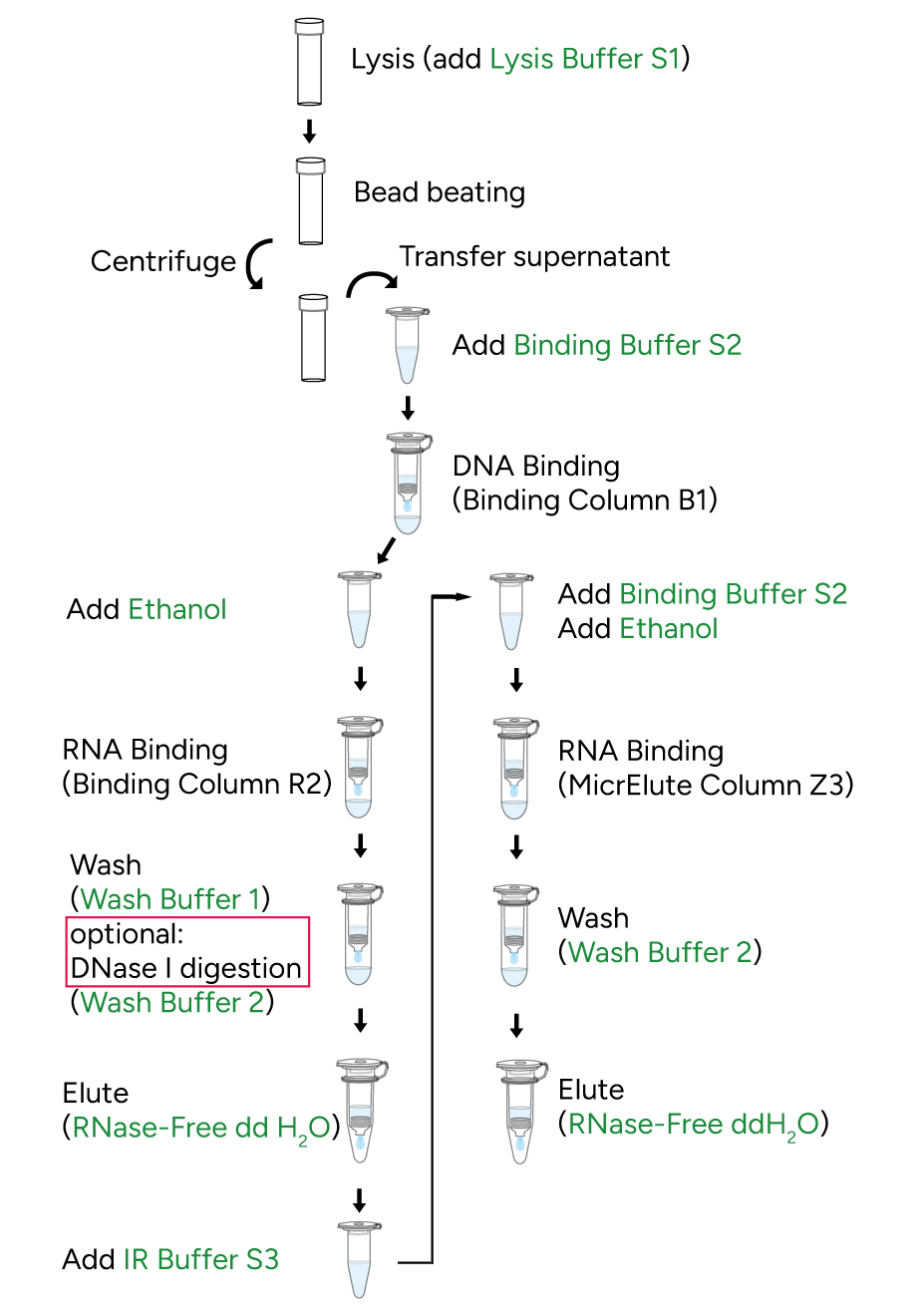 FavorPrep Tissue Total RNA MicroElute Kit Protocol